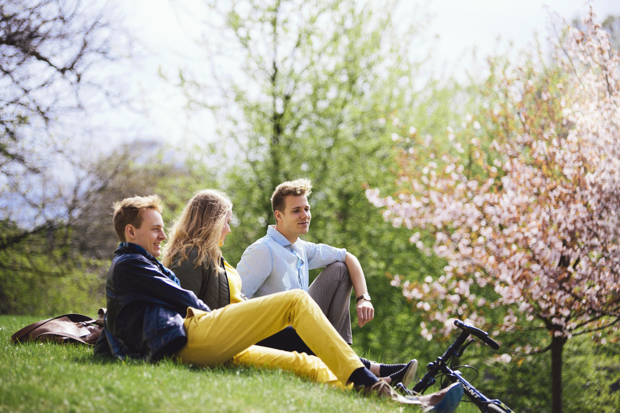 Studenter på gräsmatta.