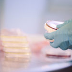 Magister­pro­grammet i bio­veten­skaper