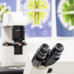 Mikroskop och celler.