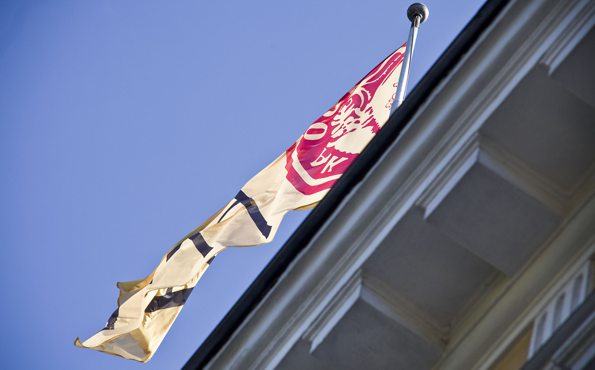 Åbo Akademis flagga