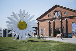 Prästkrage utanför Forum marinum.