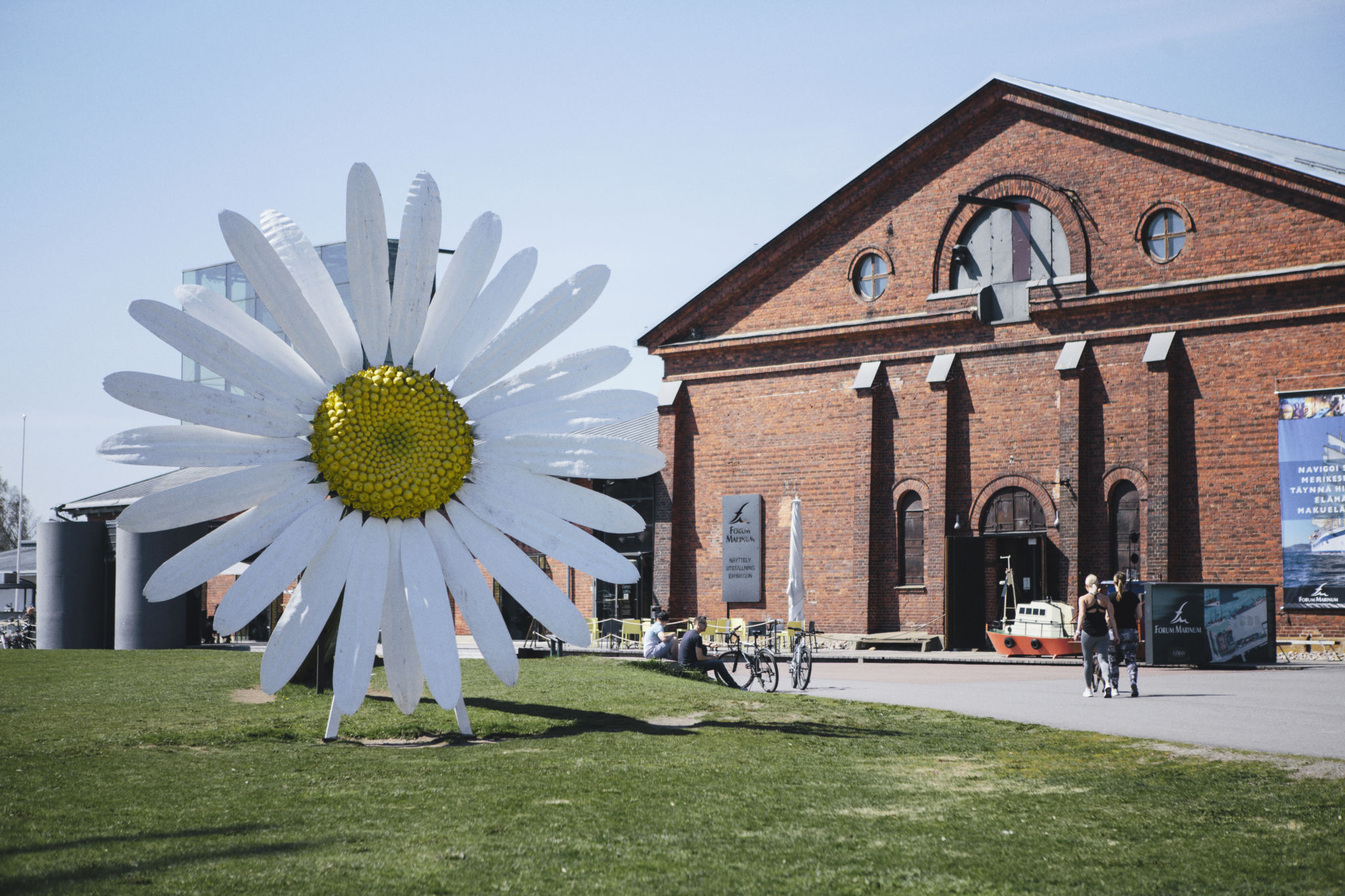 Prästkrage utanför Forum marinum.