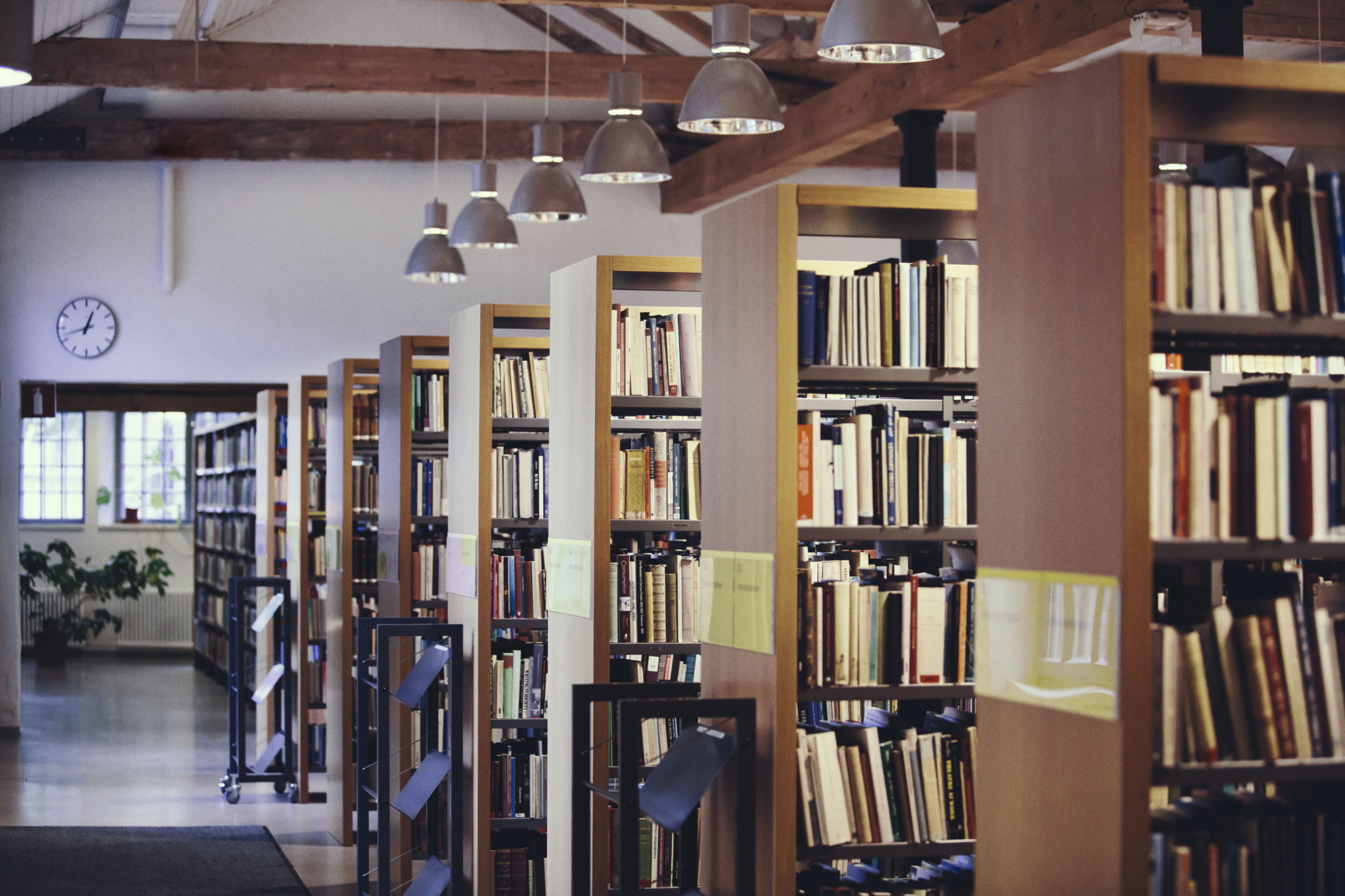 Bokhyllor i Arkens bibliotek.