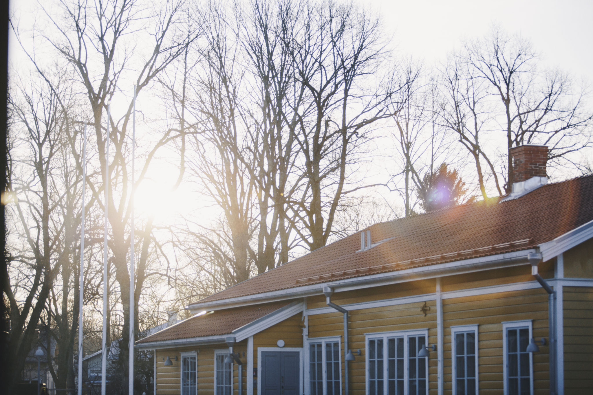 Gult hus i Åbo med solljus mellan trädtopparna.