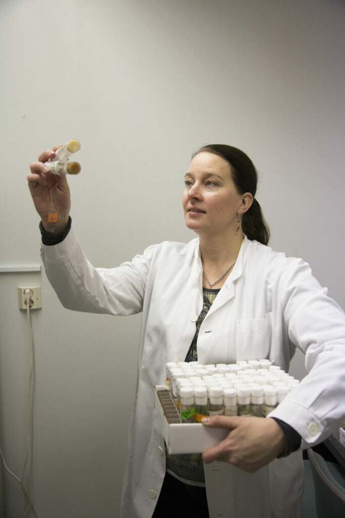 Annika Meinander håller upp två provrör med bananflugor och håller en låda med provrör under armen.