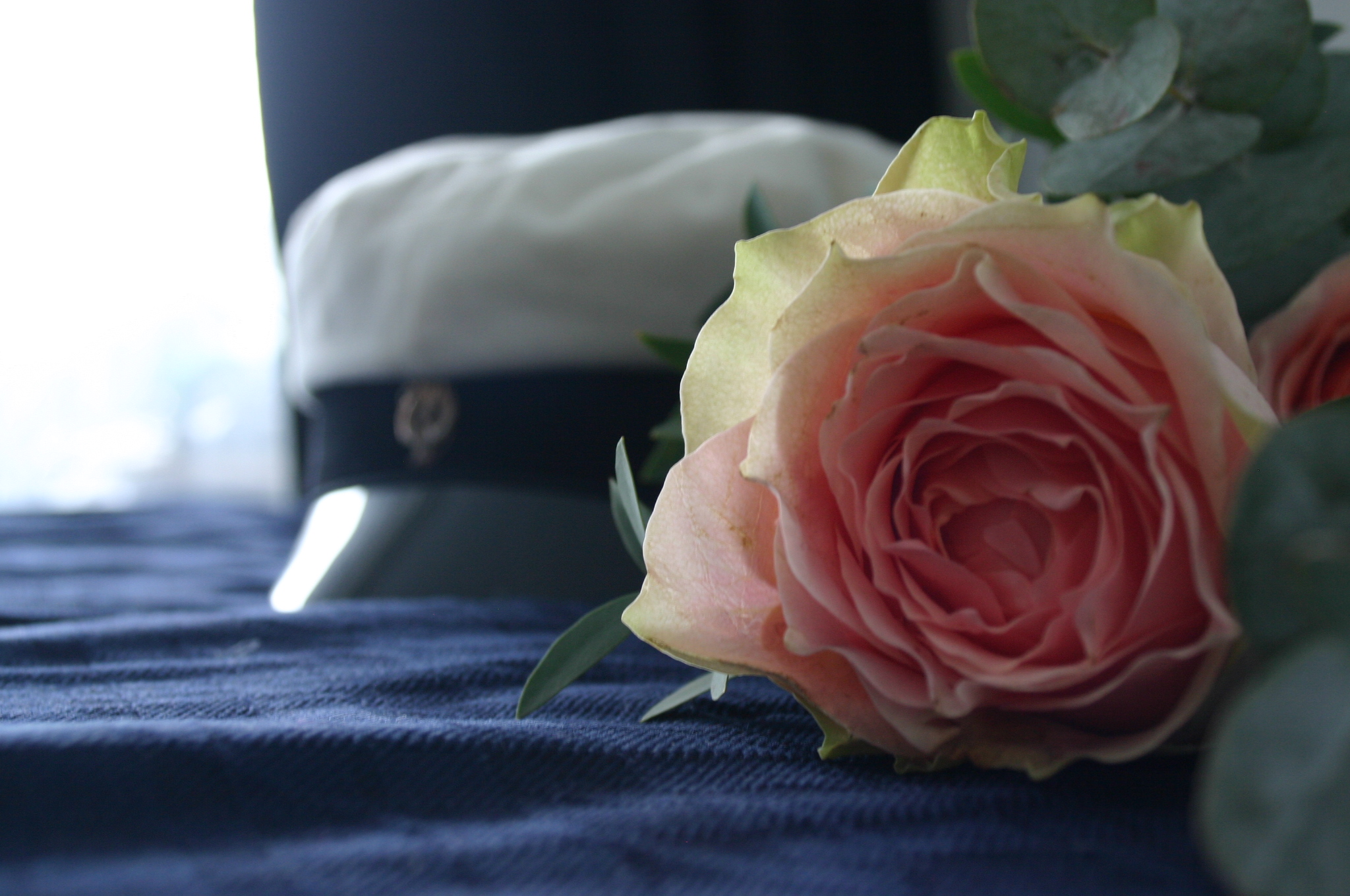 Bild på studentmössa och en ros.