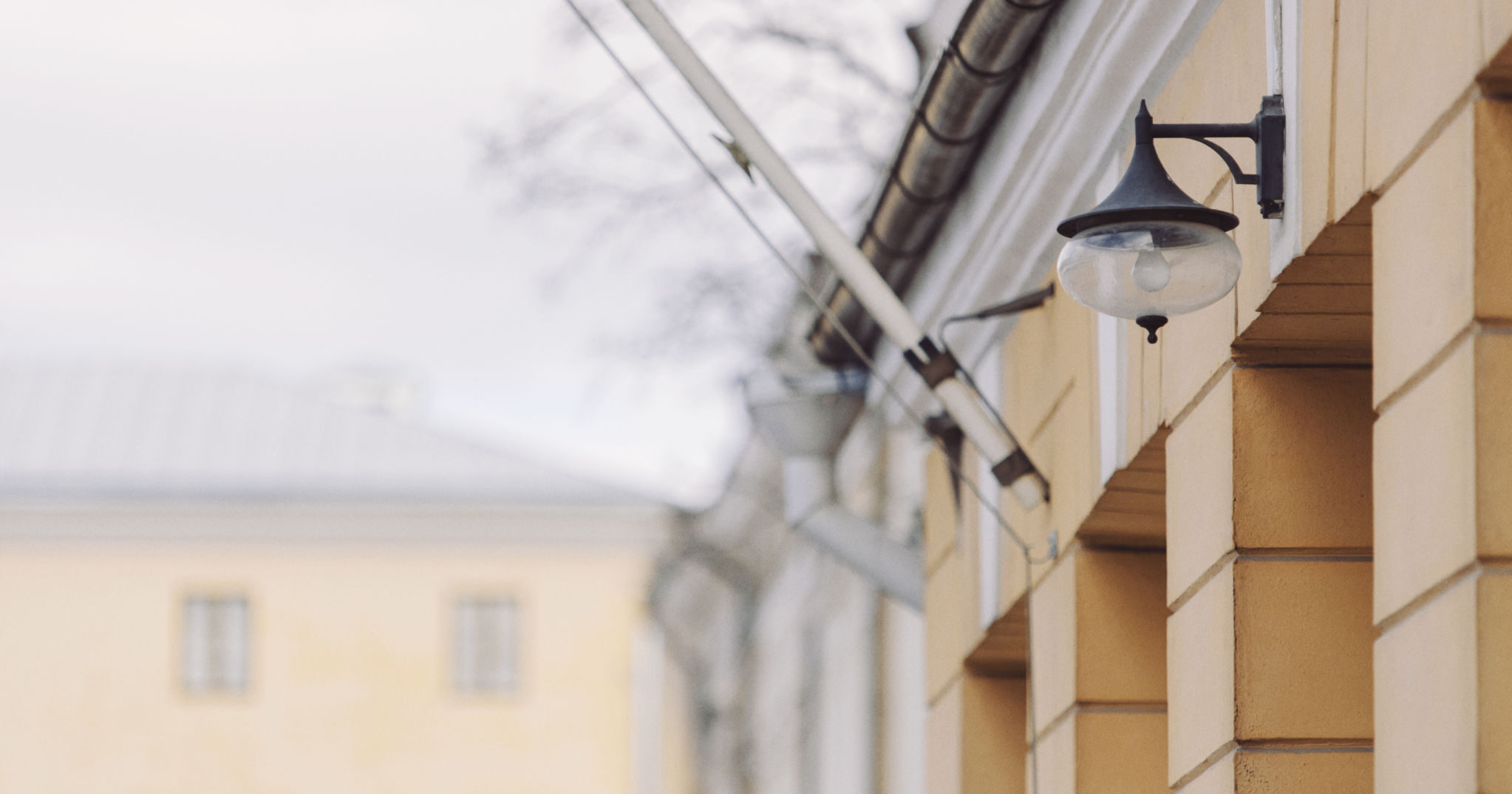 Åbo Akademin tutkijat ovat kehittäneet uuden mallin paksu- ja peräsuolisyövän tutkimukseen  