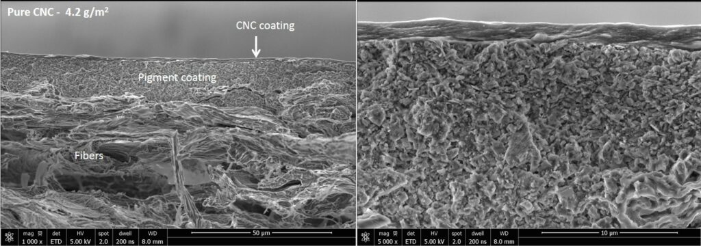 SEM cross section image of a thin CNC (crystalline nanocellulose) coating on paperboard
