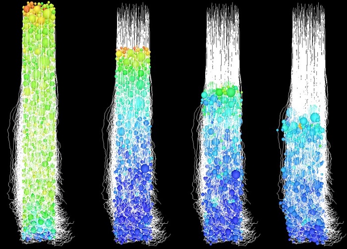 Particle dynamics simulation of coating consolidation