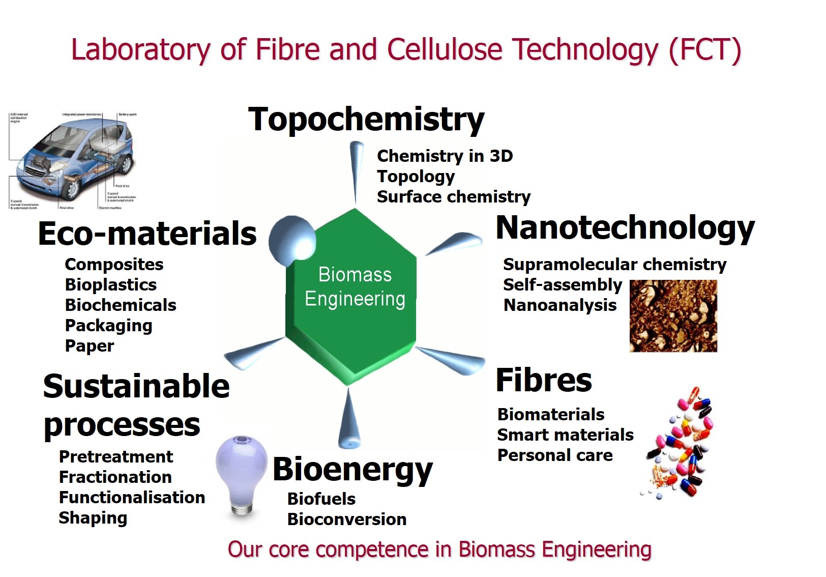 The six points of biomass engineering: Topochemistry, Nanotechnology, Fibres, Bioenergy, Sustainable processes, Eco-materials
