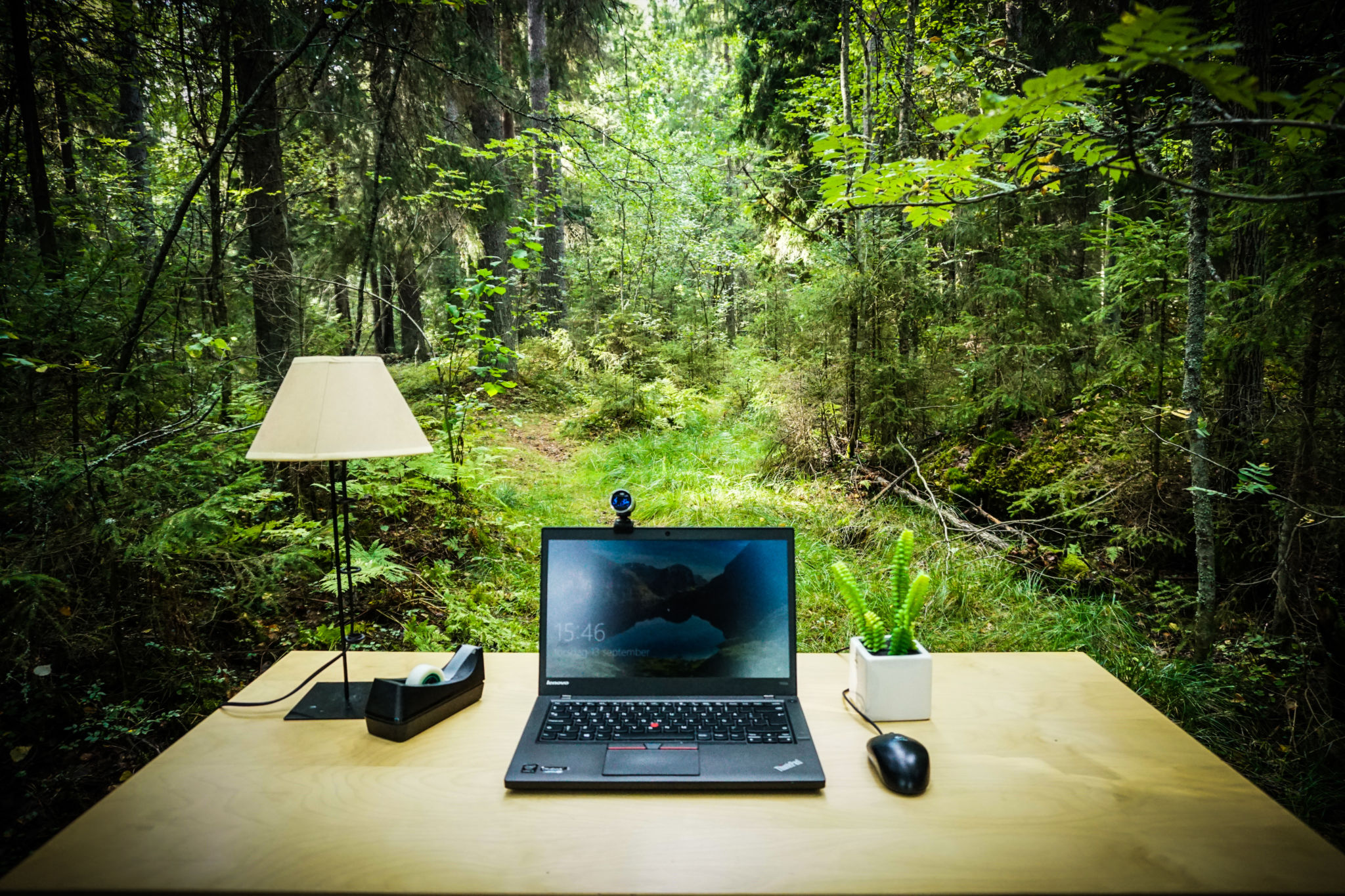 Dator i skogen.