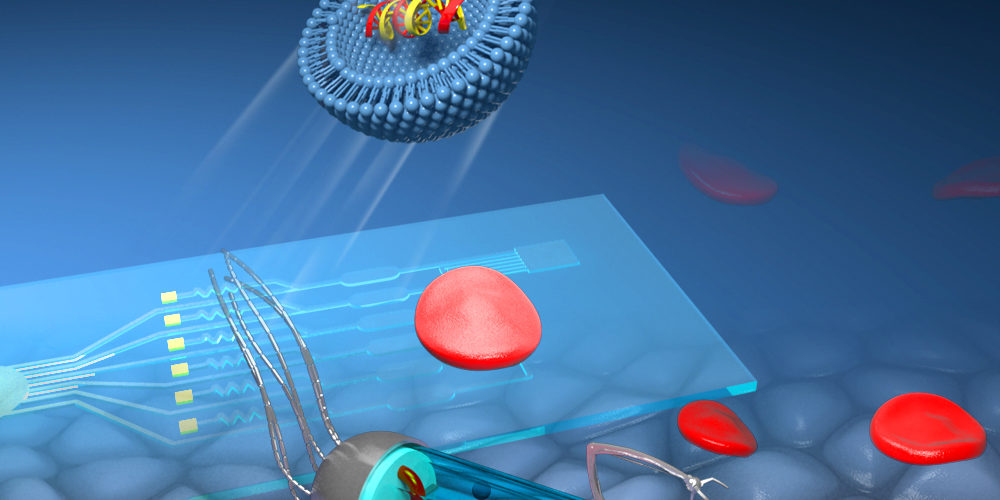 Illustration föreställande målsökande nanoläkemedel i blodomloppet.