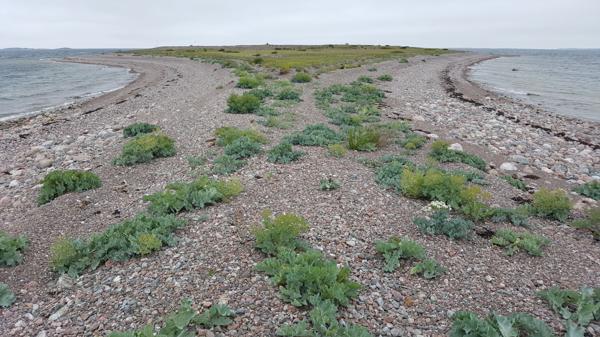 Åsö öster om Kökar