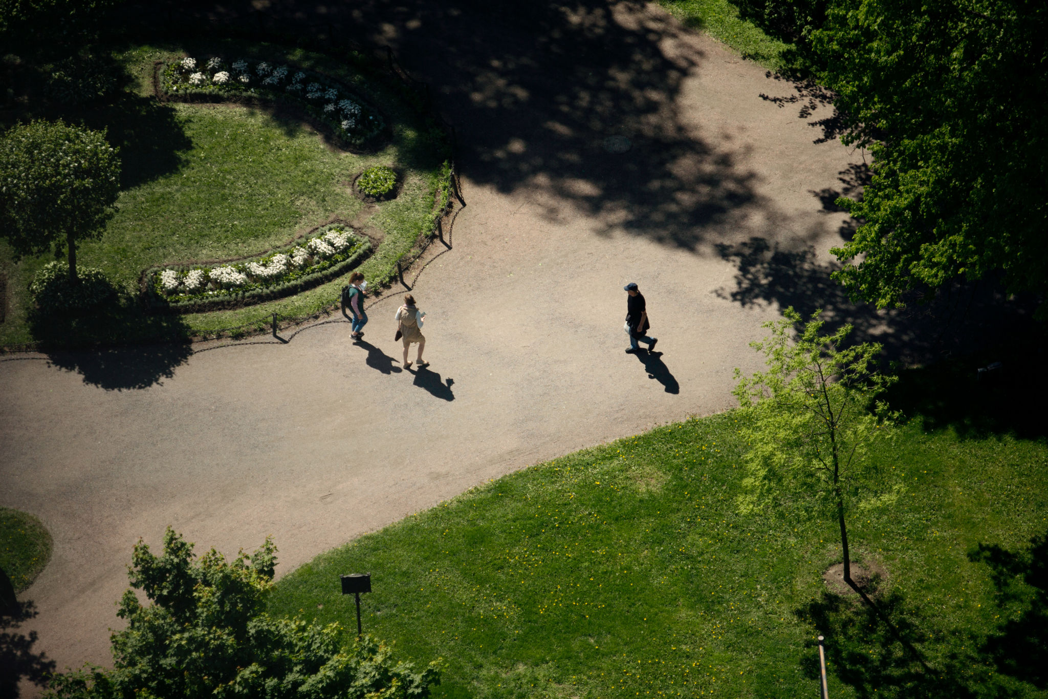 Fågelvy på människor som går i domkyrkoparken.