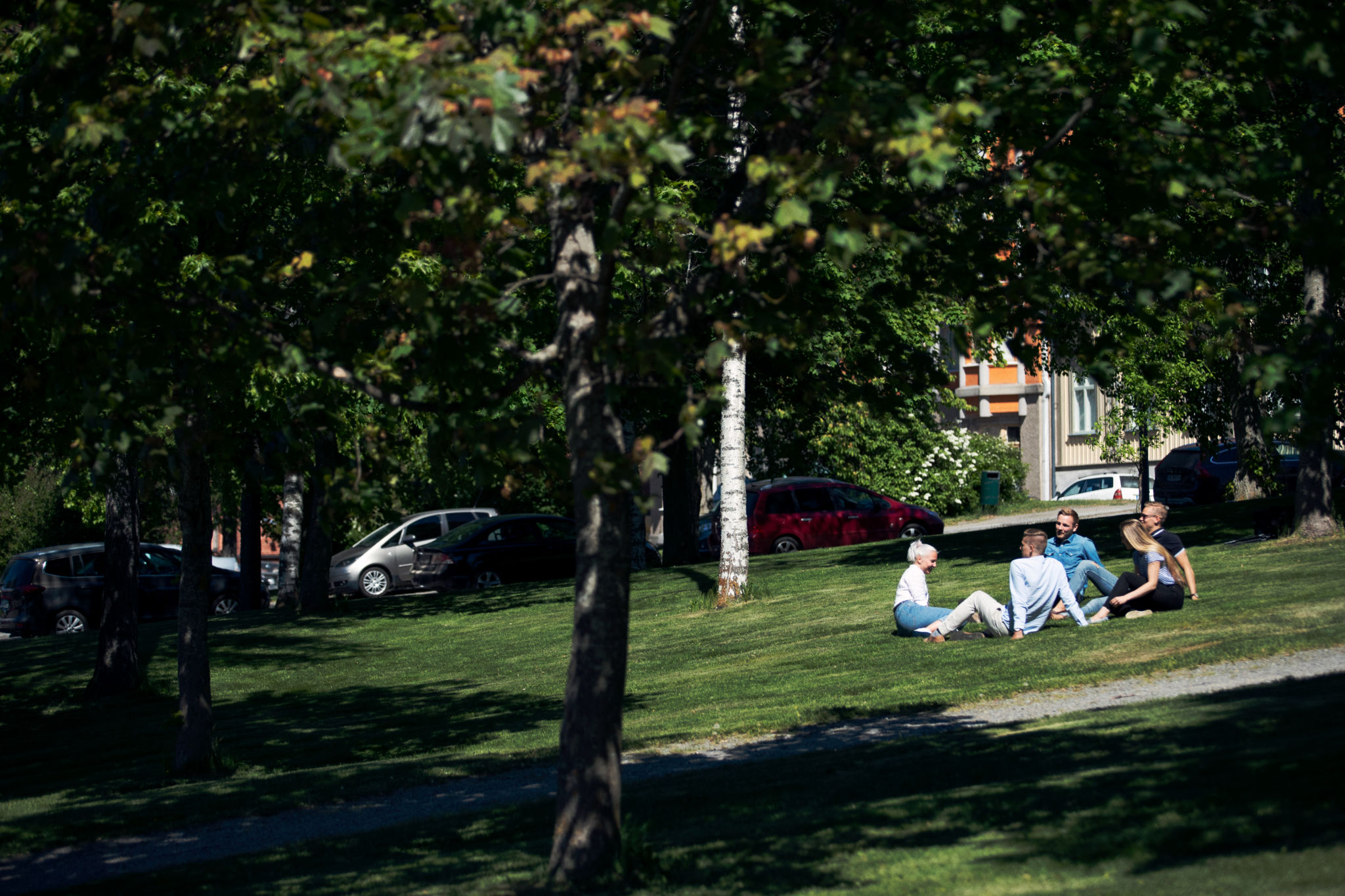 Kompisgäng i en park.