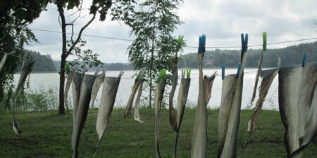 Fiskskinn hänger på tork på tvättlinor.