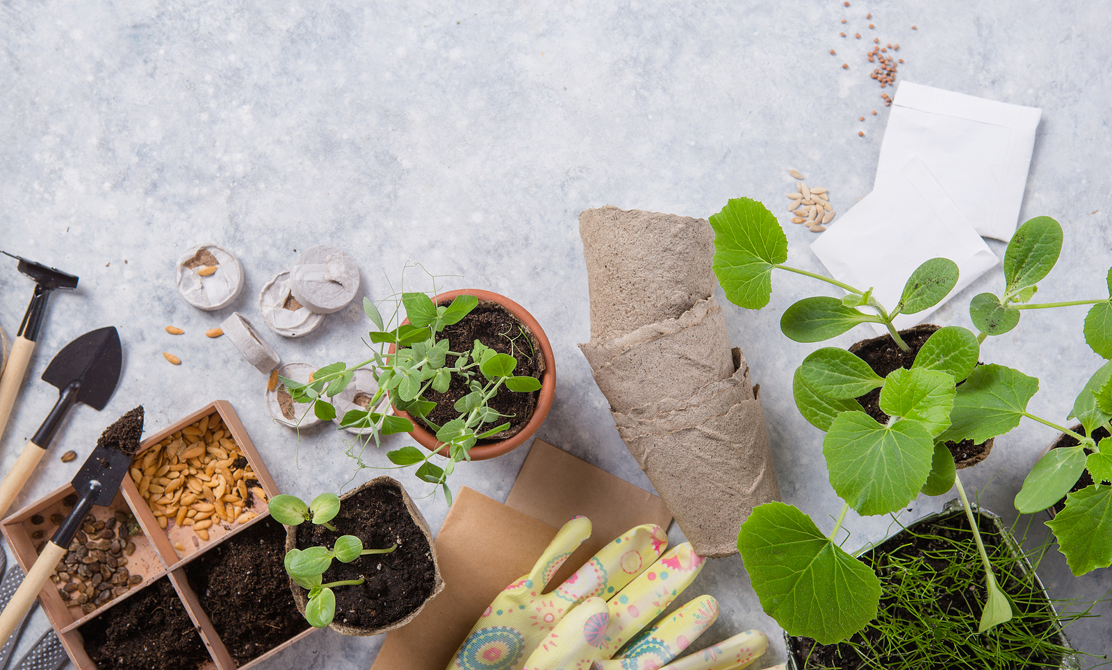 Redskap för att odla småskaligt hemma.