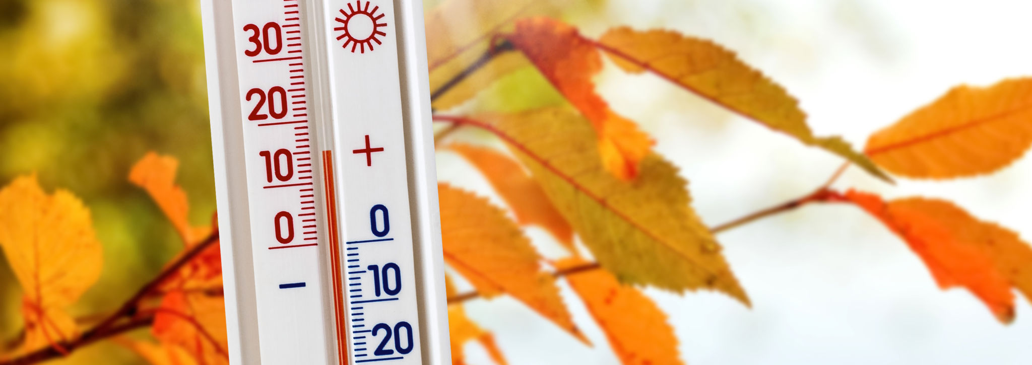 termometer höstlöv