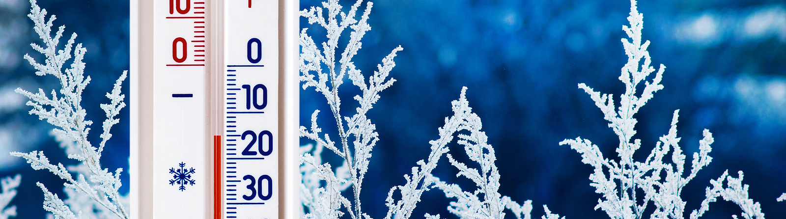 termometer frost vinter