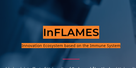 InFlames - Innovation Ecosystem based on the immune system.