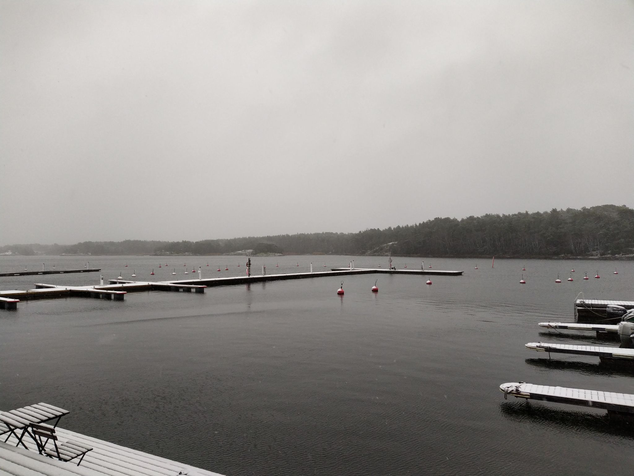 En tom småbåtshamn i vinterskrud.