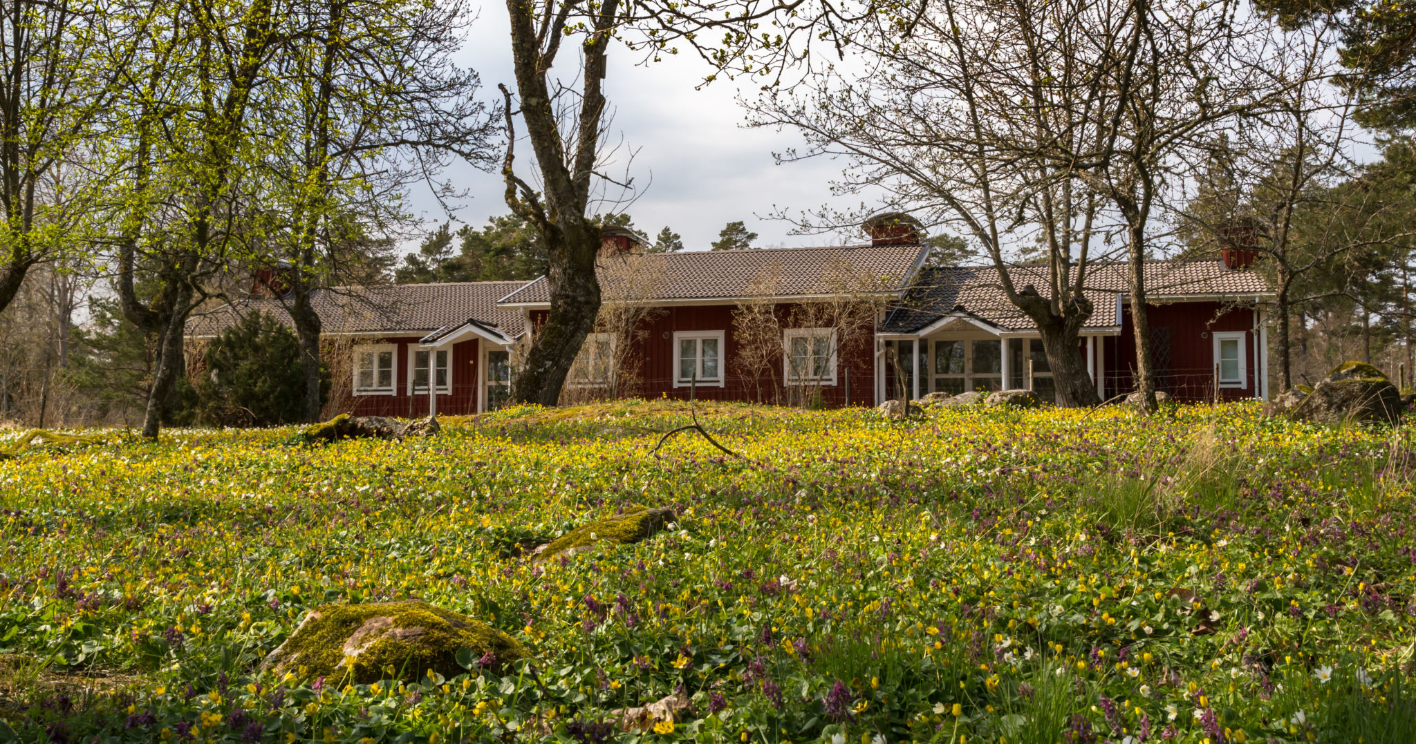 Laboratoriet på Husö biologiska station.