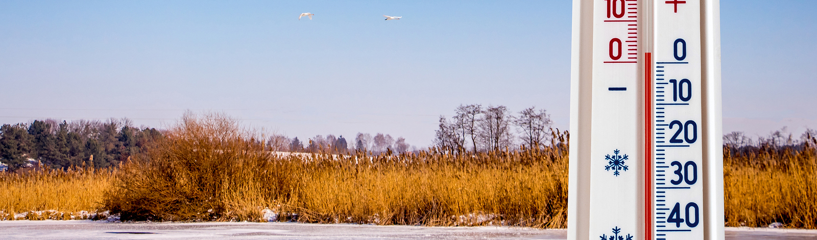 vinterbild med termometer
