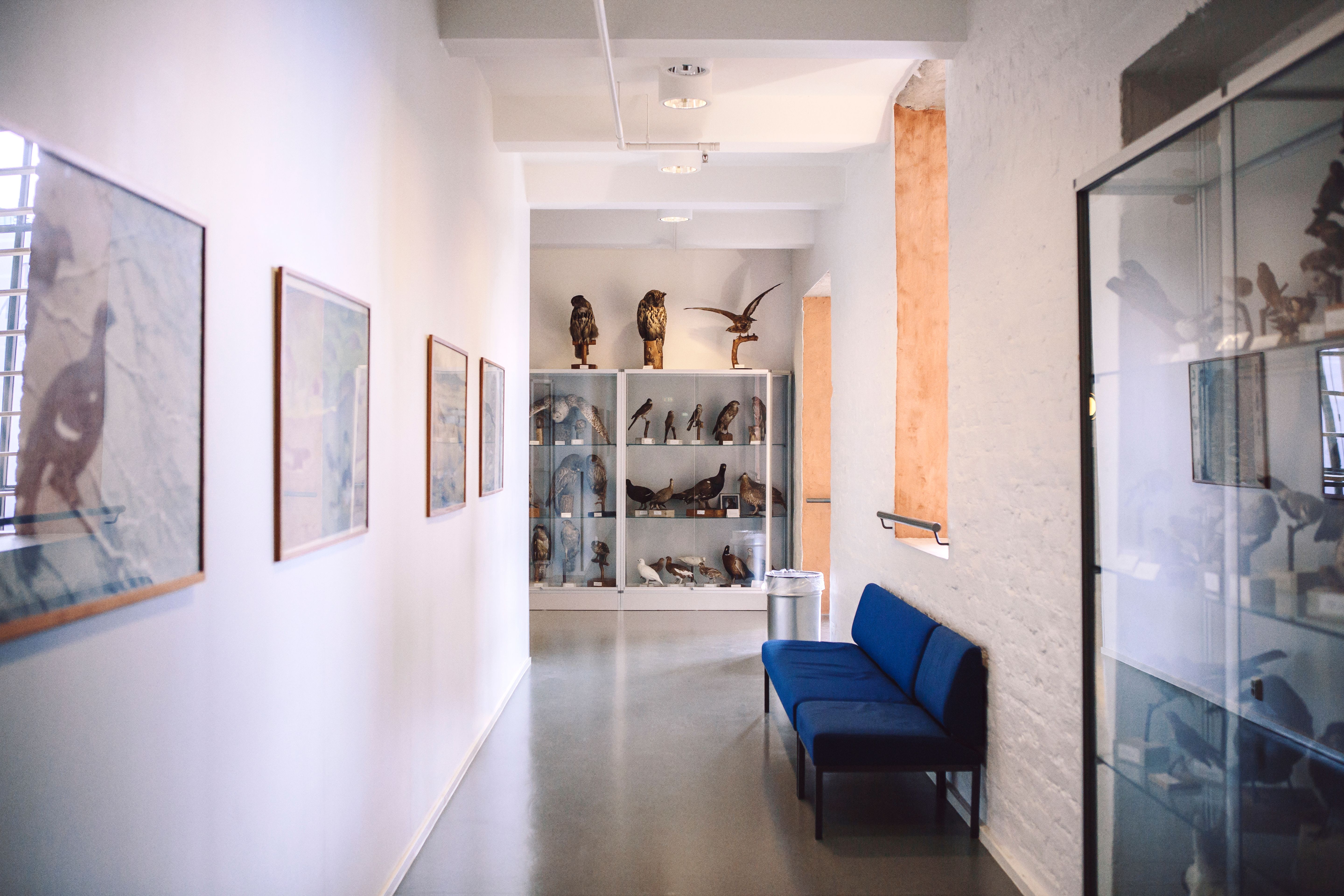 Korridor med djurtavlor och soffa.