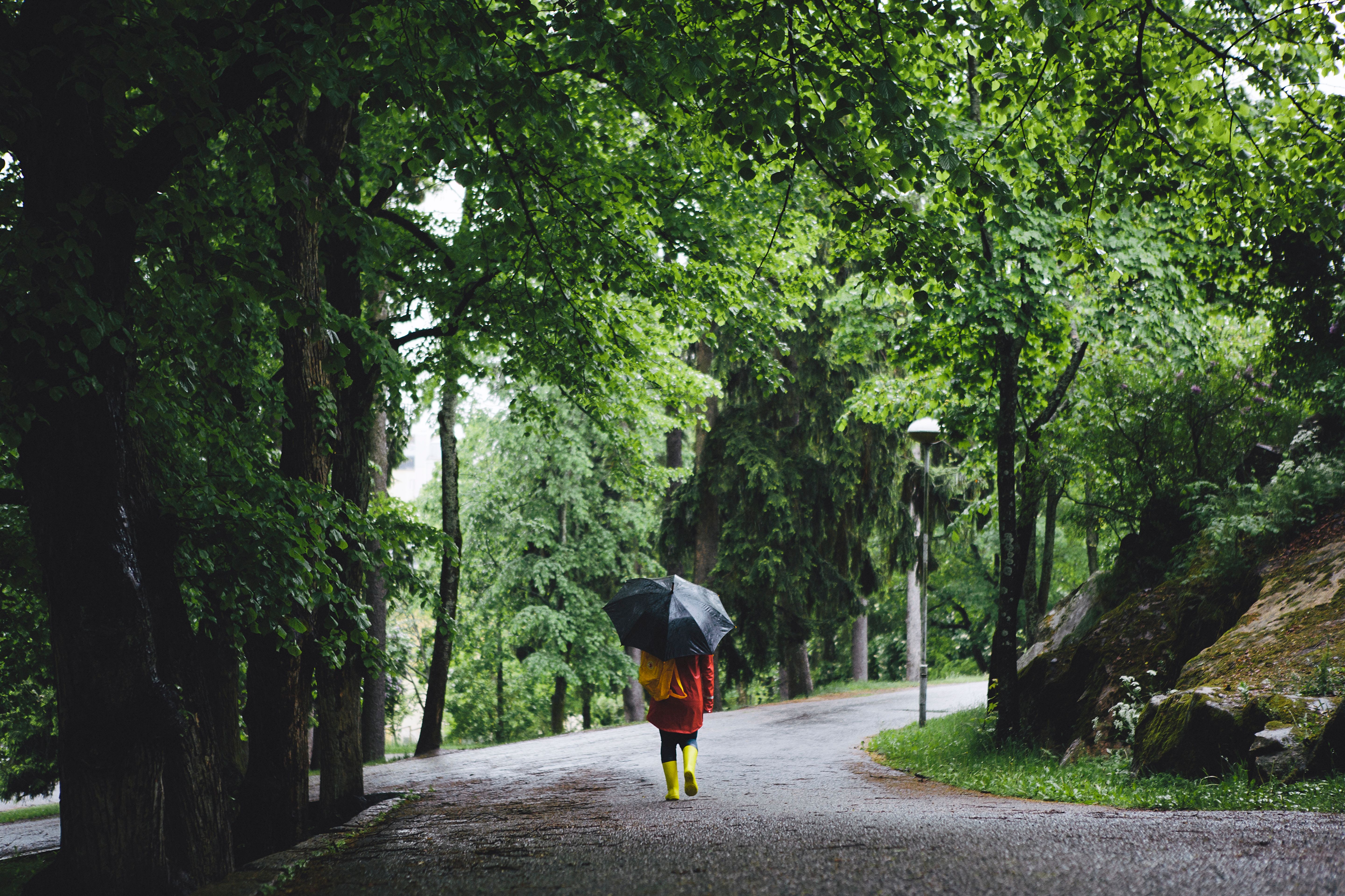 Person går i en lummig park hållande ett paraply.