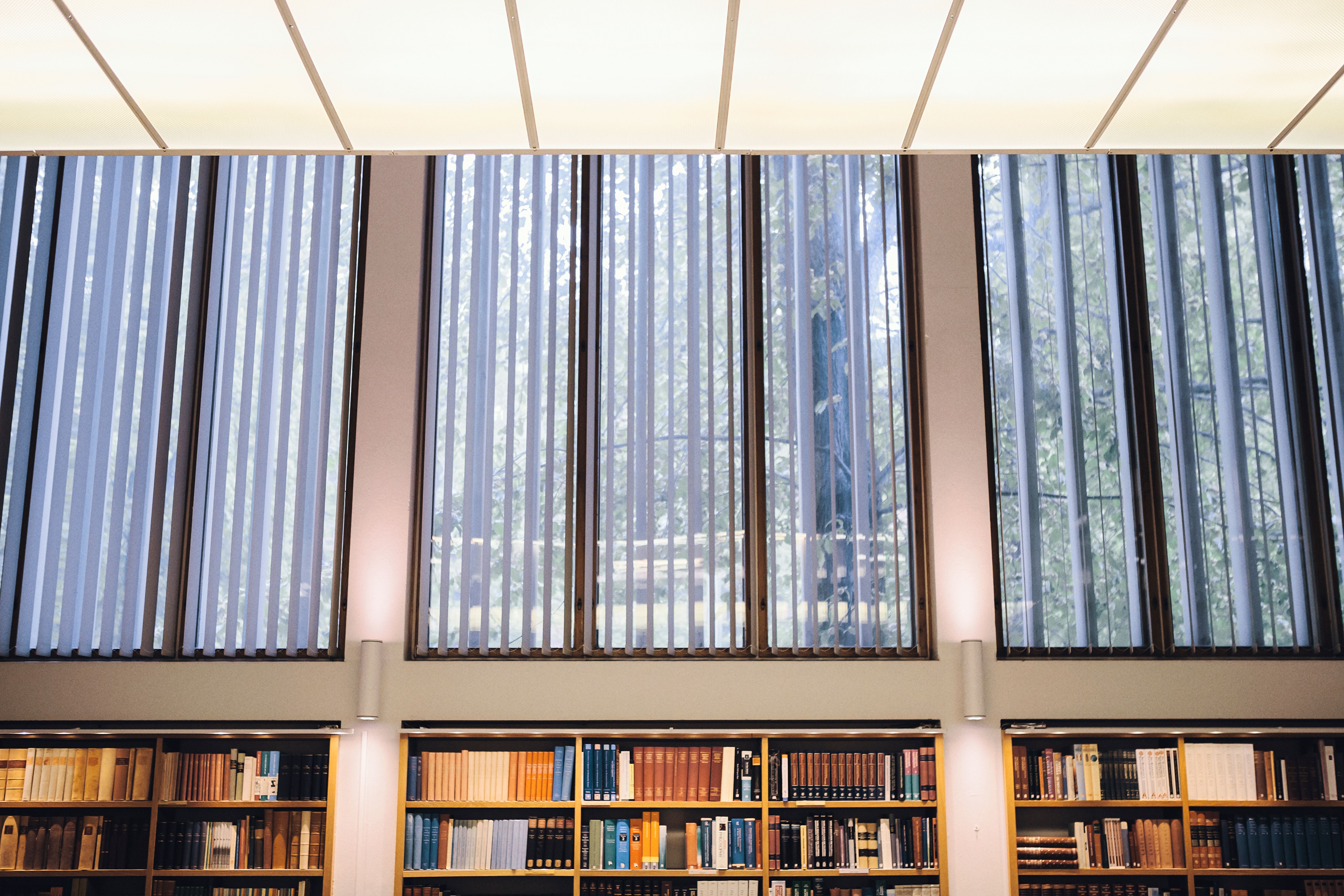 Fönster i Boktornet.