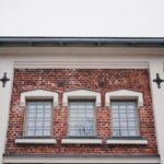 Professor Anthony Johnson’s Valedictory Lecture