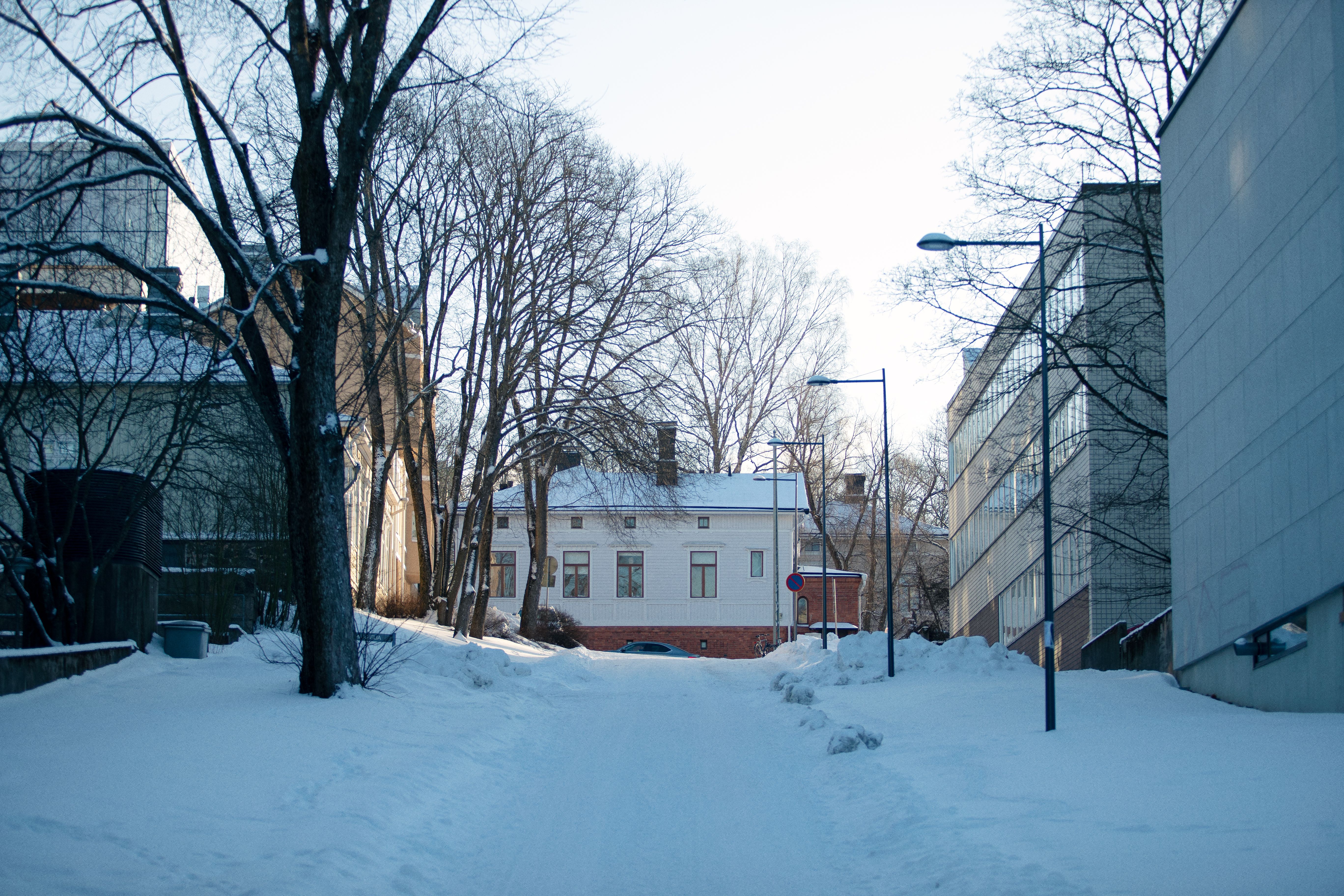 Agricolagatan på vintern.