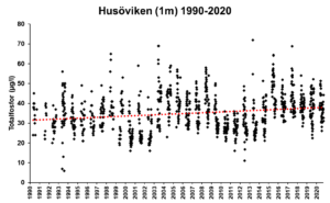 Graf som visar totalfosforhalter i Husövikens ytvatten åren 1990-2020.