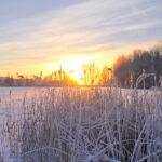 Vinter i Finland.