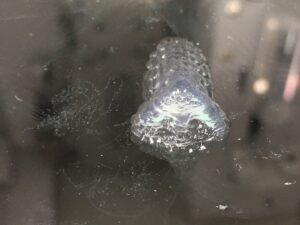 Nässtruktur av nanocellulosa