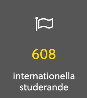 608 intrenationella studerande.