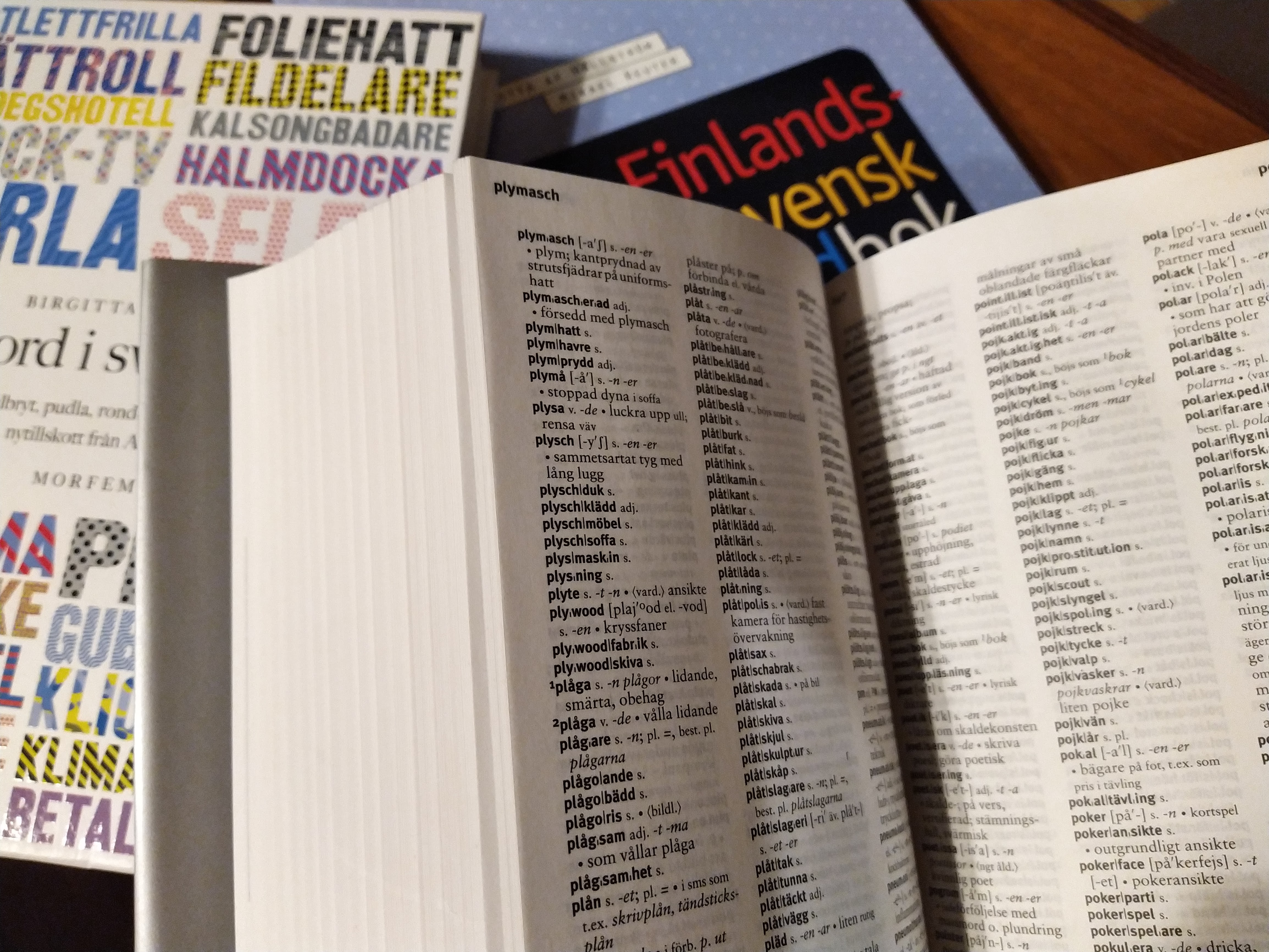 En hög med spåkböcker, övers SAOL.