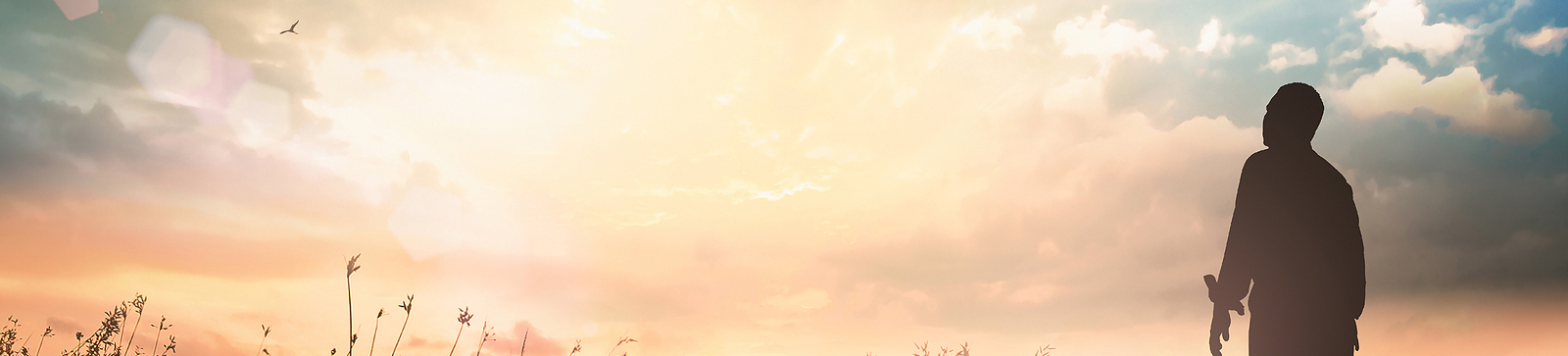 naturbild solnedgång soluppgång silhuett av man