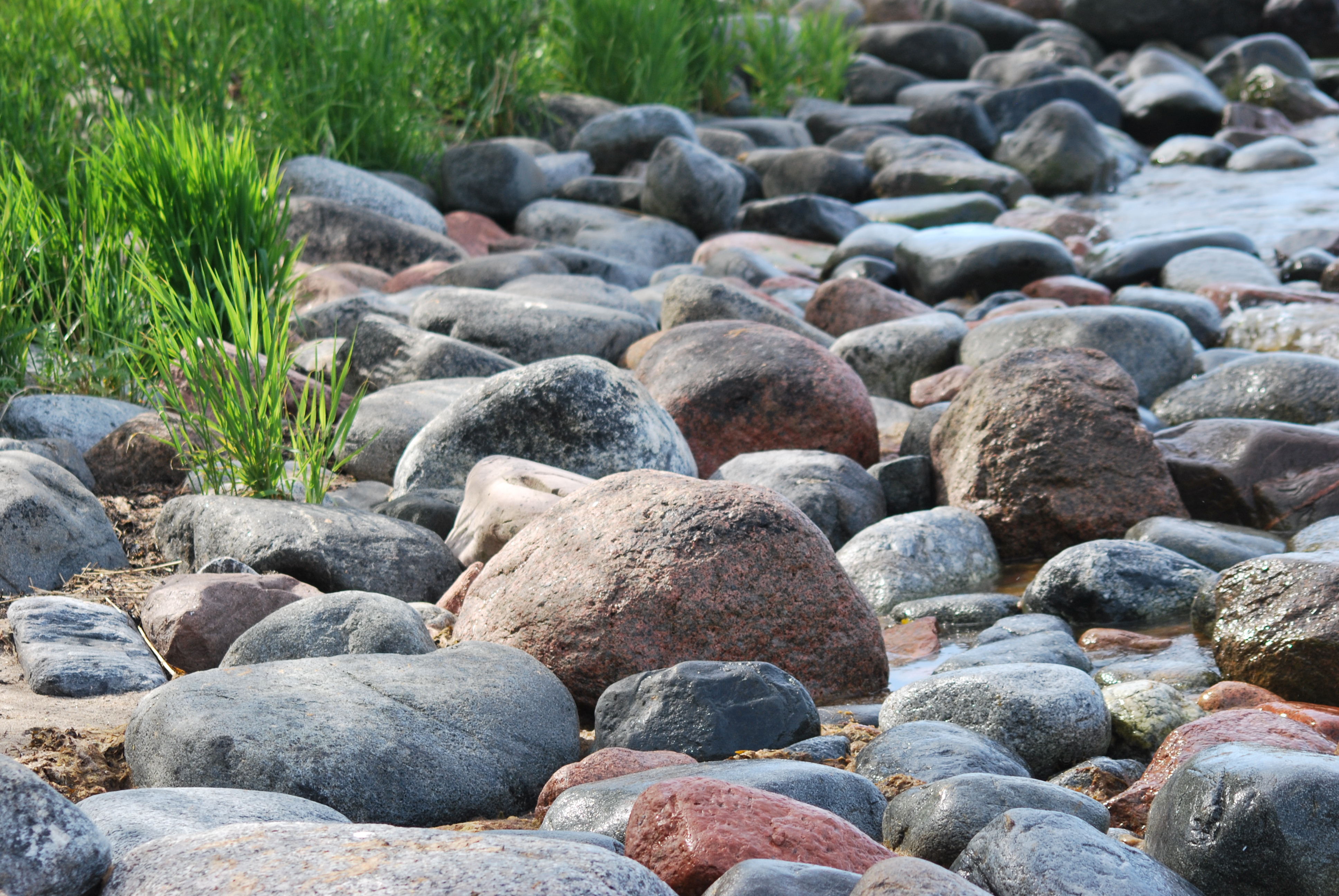 Stenar på en strand med grässtrån
