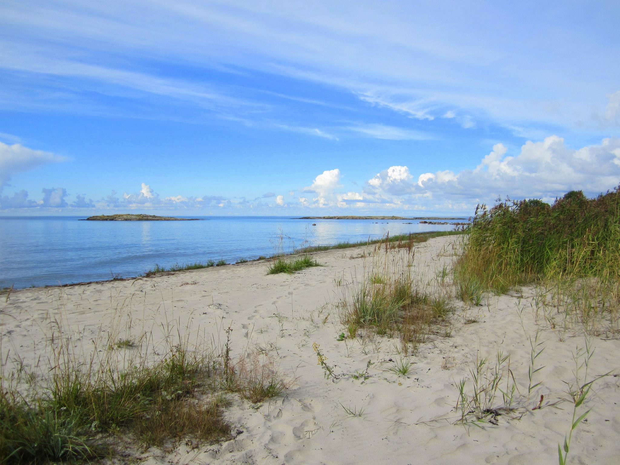 En sandstrand med gräs