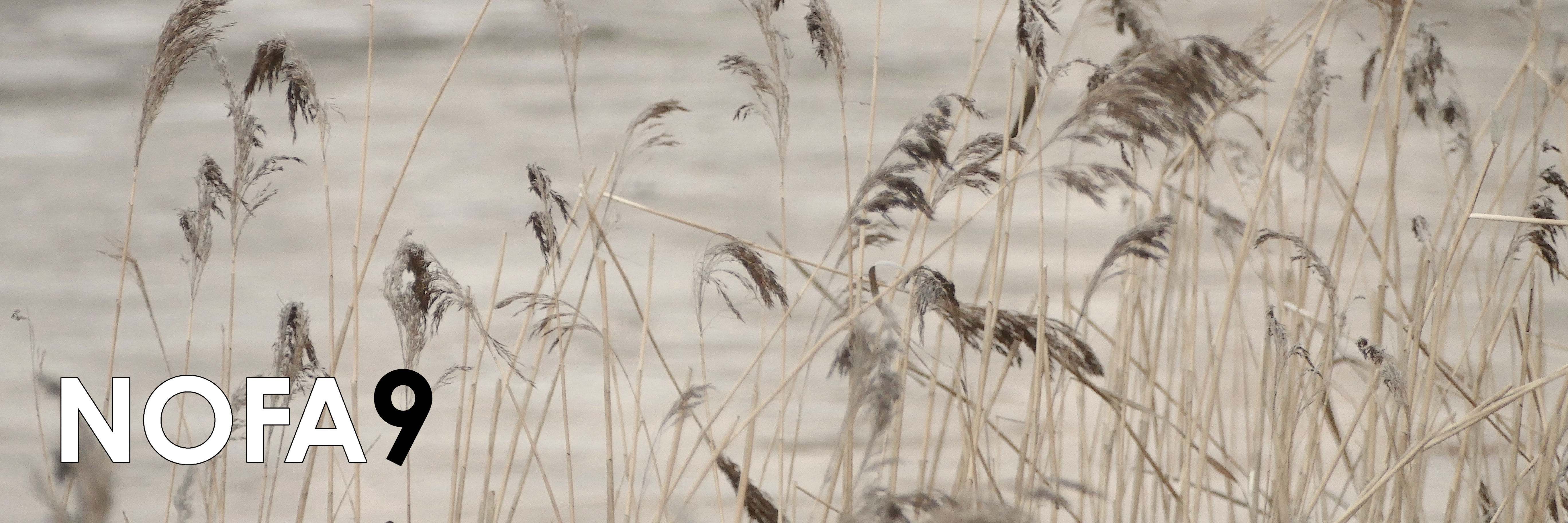 NOFA9