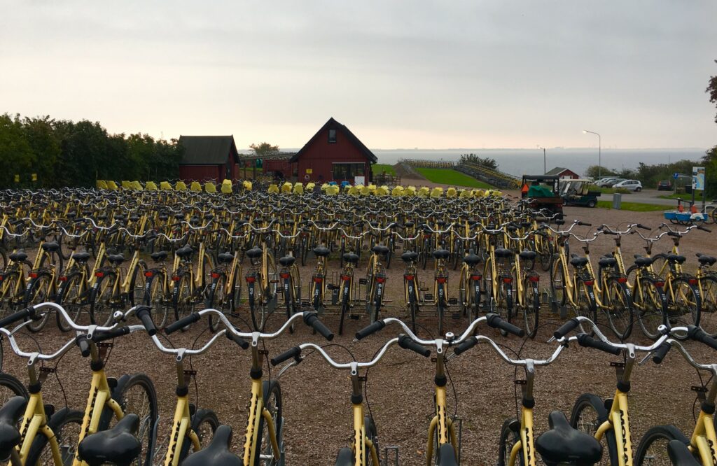 Many bicycles parked in rows.