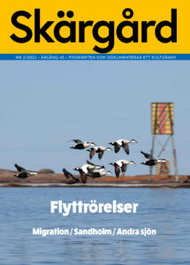 Pärmen på Tidskriften Skärgård 2/2022 visar en flock ejdrar som flyger förbi ett sjömärke.