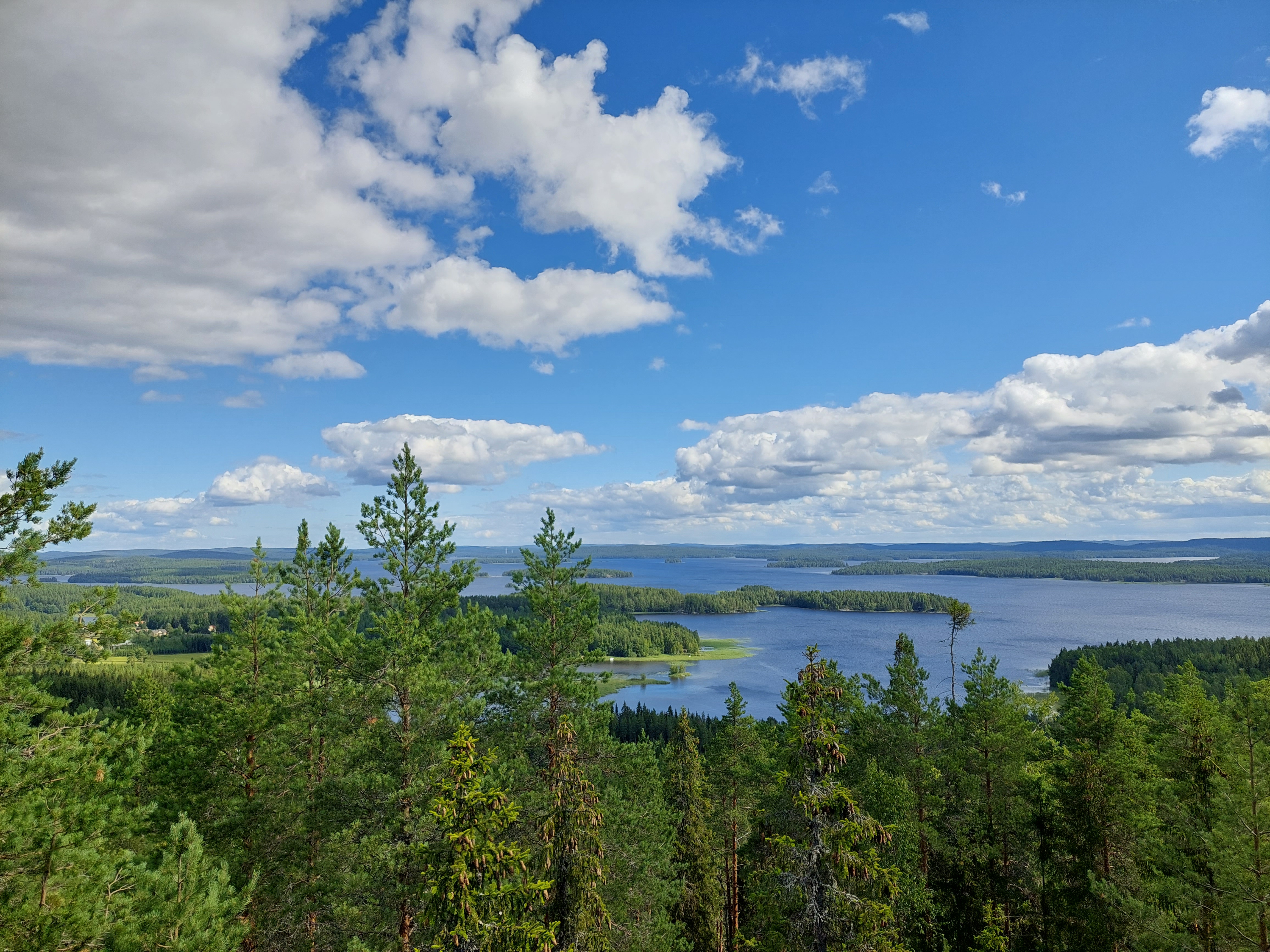 Vy över skog och insjö.