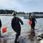Unesco ger gott betyg åt Skärgårdshavets biosfärområde