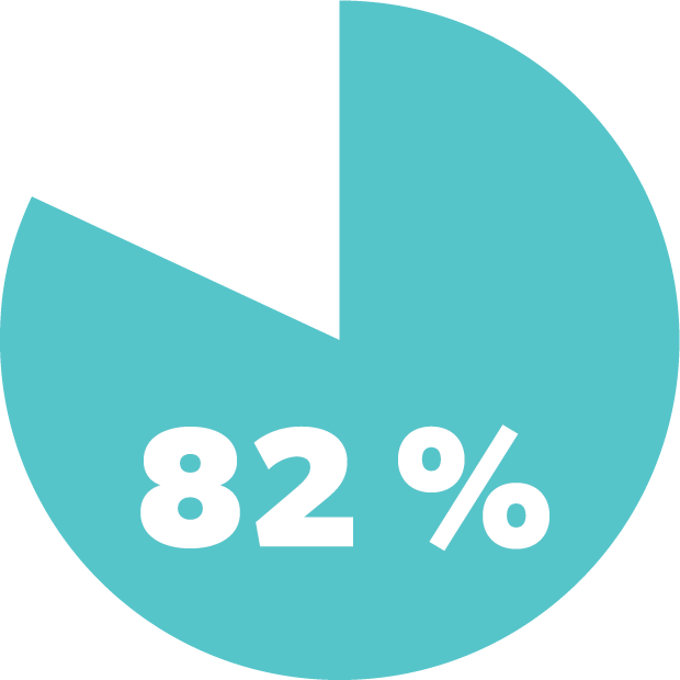 Pie chart illustrating 82%.