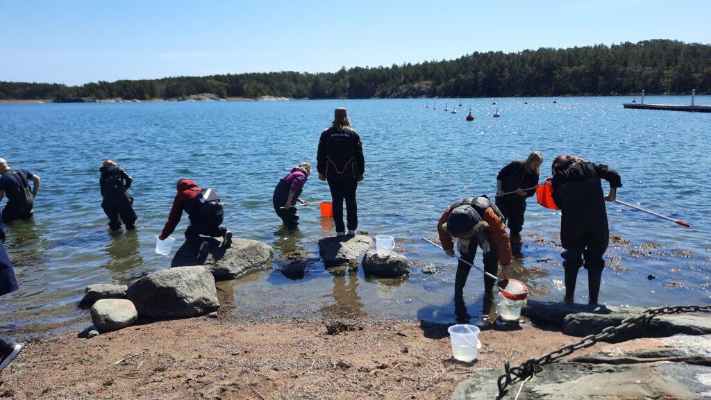 En rad med barn tar vattenprover vid havsstranden.