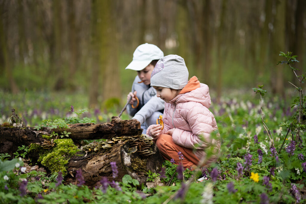 Två barn inspekterar en stubbe i skogen.