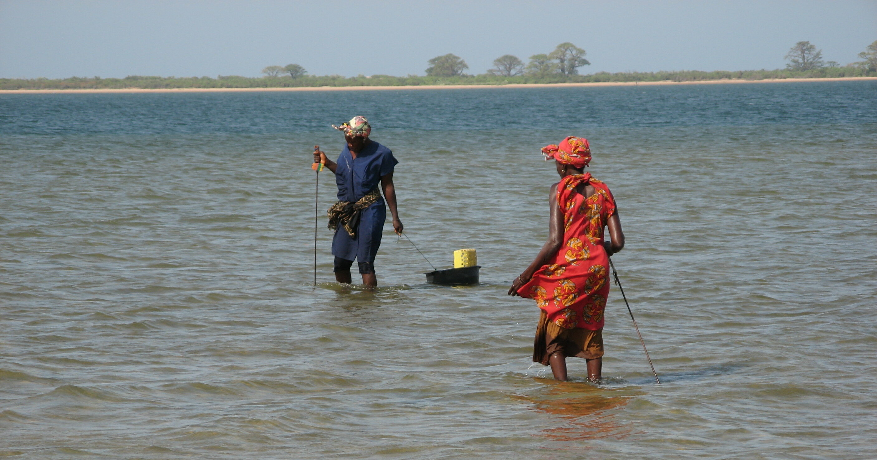 Press release, Senegal photo 3