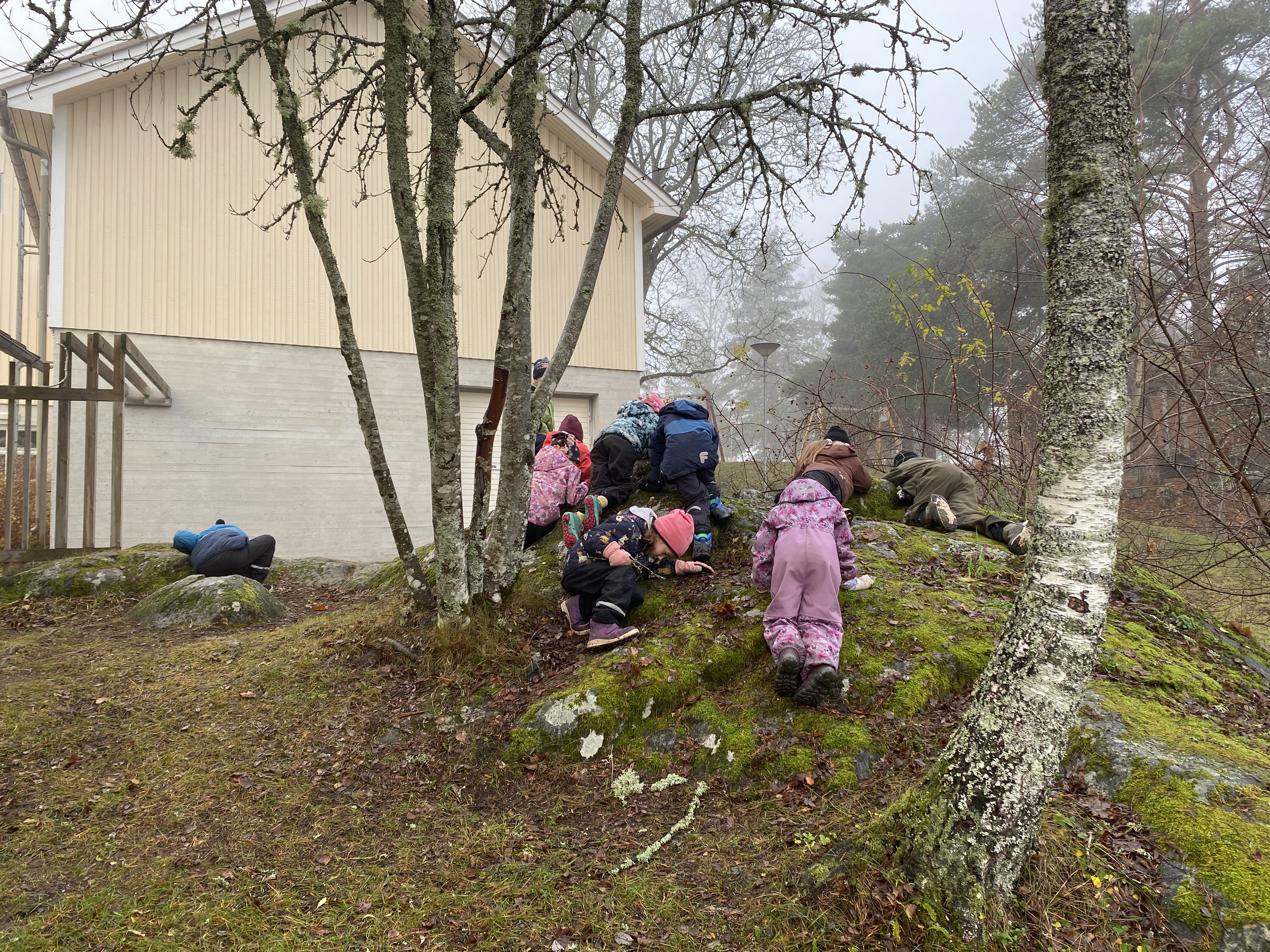 Barn som undersöker marken på en liten mossklädd kulle framför ett hus.